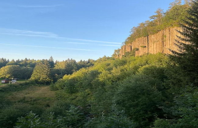 Apartment in Saxony With Terrace - Foto 32