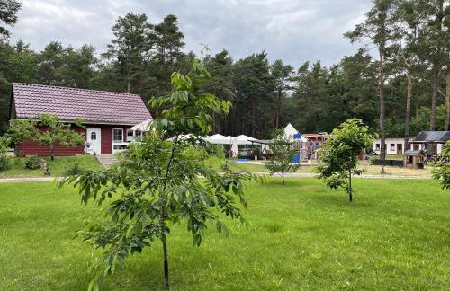 Ferienhaus Pirol - Photo 22