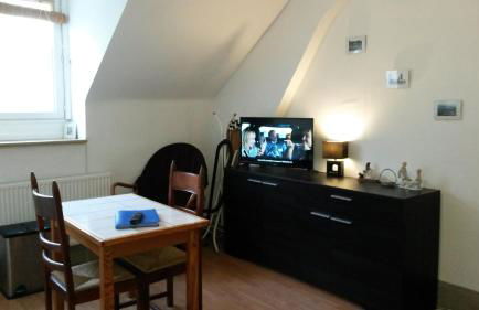 Les Buissonnets - Foto 45