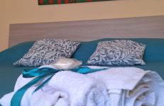 Apartment Inn - Foto 13