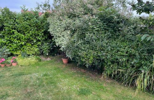 Ferncroft Garden Studio - Foto 17