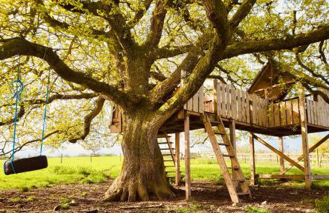 Barn End Cottage - Foto 34