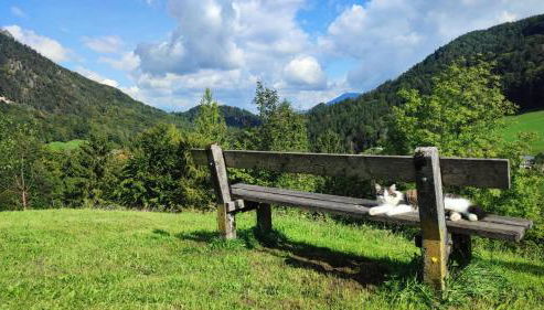 Ferienwohnung Alpenglück - Foto 3