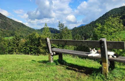 Ferienwohnung Alpenglück - Foto 3