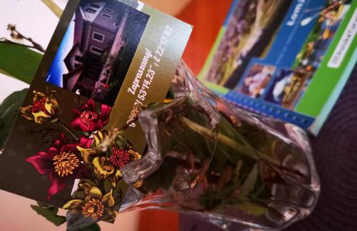 Agroturystyka w Dolinie Narwi - Photo 25