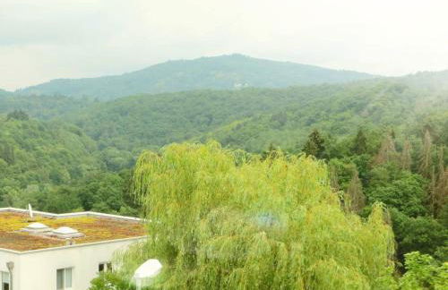 Villa Waldallee - Ferienwohnung (holidayhome) 84qm - Foto 36