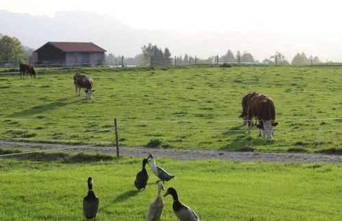 in the holiday home Vorbergblick - Foto 19