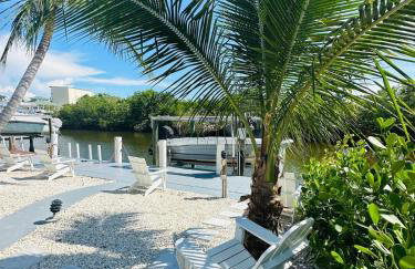 Navy Flamingo - Foto 16