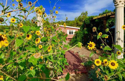 The Chi-Treehouse at Sunny Mellow Eco Villa - Foto 35