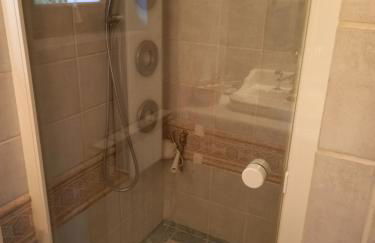 le héron cendré - Foto 21