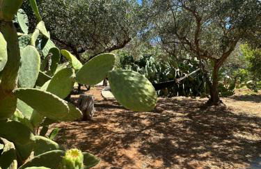 Villa Tosto - Foto 41