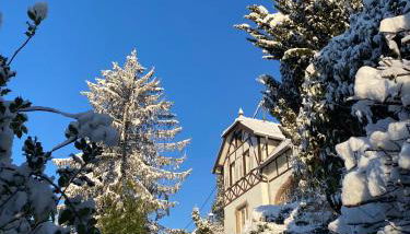 LA VILLA DES OISEAUX - La Petite Pierre - Foto 2