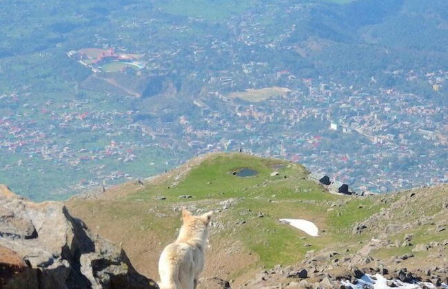 Hotel Dev Cottage - Foto 68