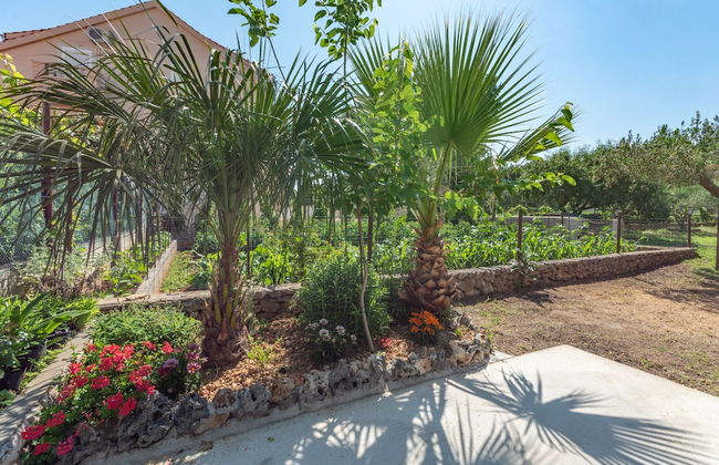 Apartments Jerko - Foto 51