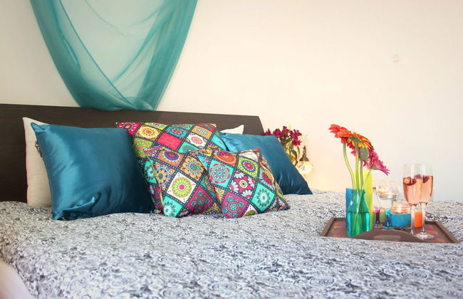 Maltese Maltese - Foto 28