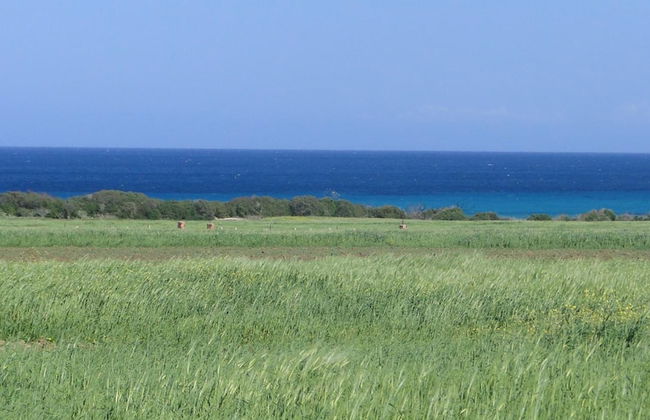 Residence Stern - Foto 53