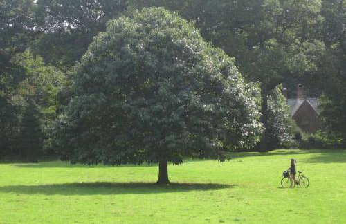 The Coach House within heritage Tregrehan Garden on Cornwall's South Coast - Photo 23