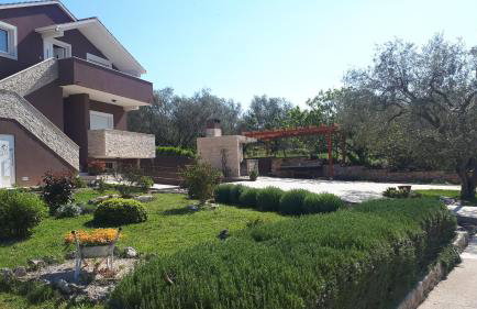 Little Dream - Foto 11