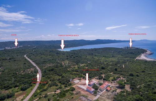 Sakarun - Ena - Photo 63