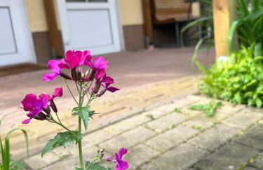 Gemütliche Wohnung Landlust in See-Nähe - Foto 14