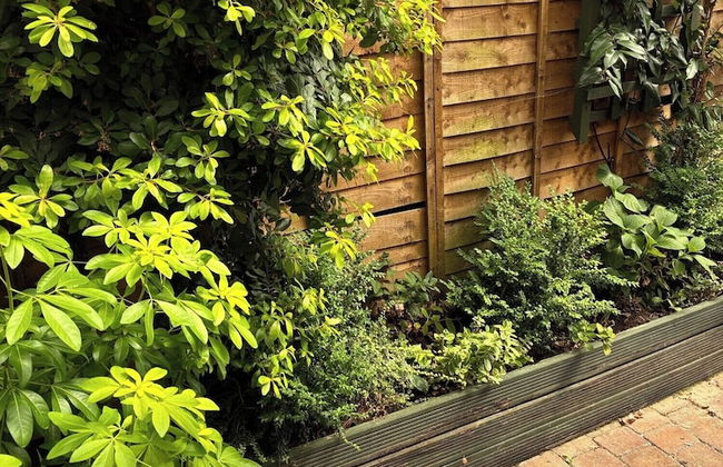 Relaxing Studio - Sauna - Luxe Bed - Pet-friendly - Foto 28