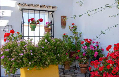 Cortijo del Coco - Foto 31