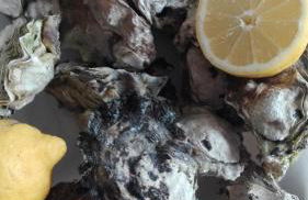 Paisagem do Guadiana Turismo Rural - Foto 49