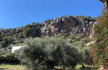 Casa Rural las Rosas de Benaojan - Photo 66