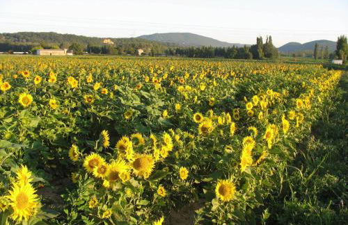 Chez Janie Hirst - Foto 13