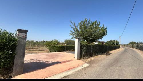 Al giardino da Lu - Photo 1, Garden