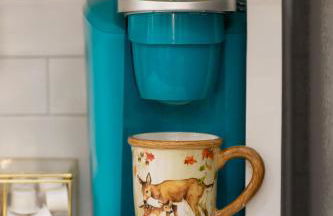 Feed Deer and Chickens Cozy Cottage 8 min to Boerne - Photo 6