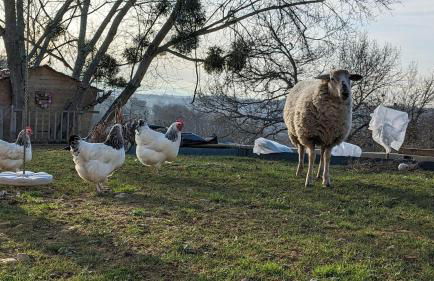 Cosy Arnaya Domaine et Grande Piscine - 1 hectare - Foto 32