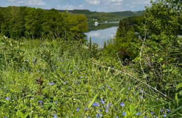 #8 Ommi Kese See-Suite FD Sauna Hund Terrasse - Foto 16