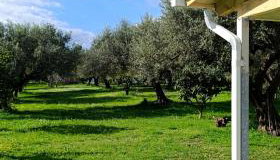 Rizaki Cottage in Nafpaktos - Foto 3, Garden view
