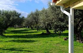 Rizaki Cottage in Nafpaktos - Foto 3