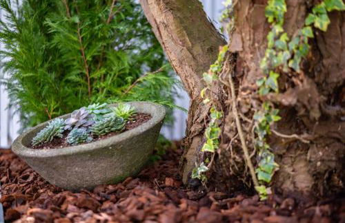 Casa Cecilia Meireles - Photo 39