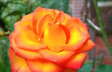 Chalé alpino em canela rs todo mobiliado com cozinha lareira split Wi-Fi 2 quartos perto do centro - Foto 25