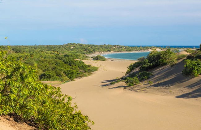 Villa Los Almendros - 2 Private Pools & Tennis & Pickle Ball - Photo 27