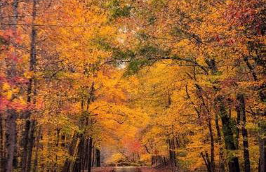 Gorgeous Tiny House with Indoor and Outdoor Lounging Space in Alabama - Foto 13