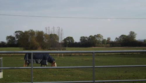 The Nook at West Langton lodge - Foto 5