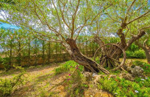 Can Pascolet - Foto 65