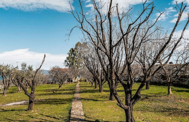 Holiday Villa With sea View in Paralia Avlidas - Foto 37