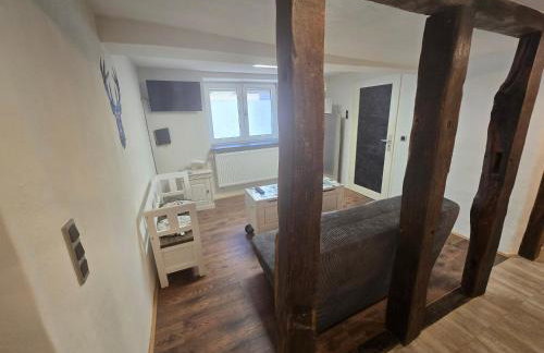 Zauberhafte Wohnung in der Nähe von Heidelberg, top Lage - Foto 9
