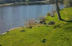 Stunning 3 Bed Riverside Cabin in Snowdonia - Photo 47