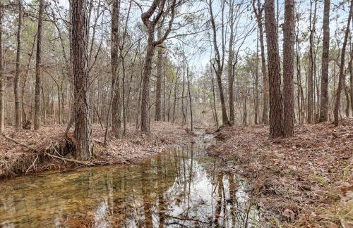 Crimson Creek Cabin - Hot Tub, Playset, Family-Friendly - Foto 17