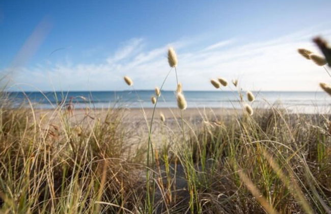 Cosy Corner Holiday Park - Foto 58