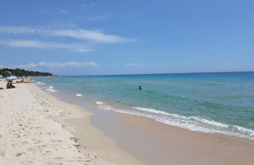 Sa Corbula - Foto 37