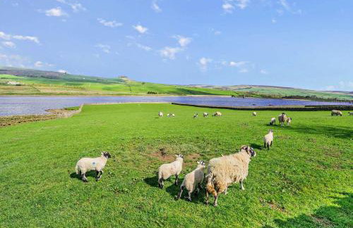 2 Bed in Middleton-in-Teesdale 90498 - Photo 26