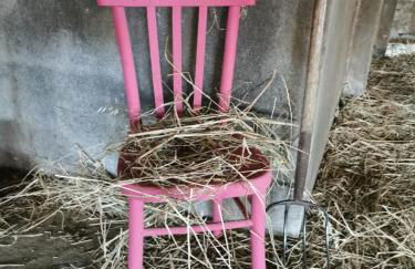 Podere Montecorno - Foto 62