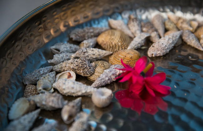 Apartment Fiorella - Foto 25